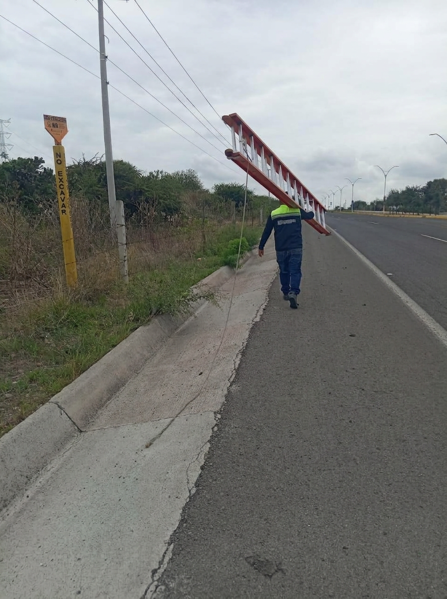 Técnico de GYBO cargando una escalera por el acotamiento de una carretera